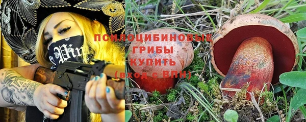 крисы Балахна