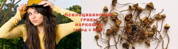 крисы Балахна