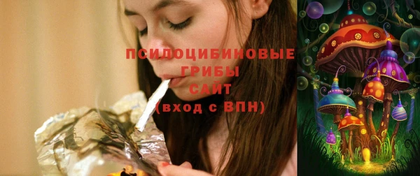 крисы Балахна