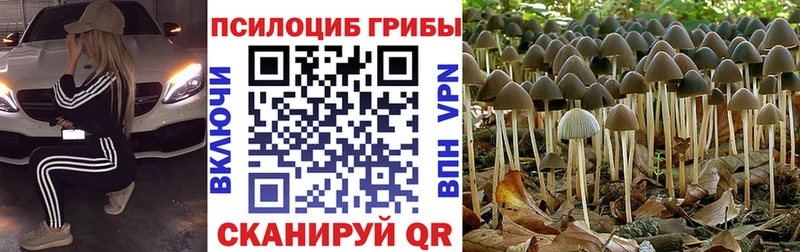 Галлюциногенные грибы прущие грибы  Аша 
