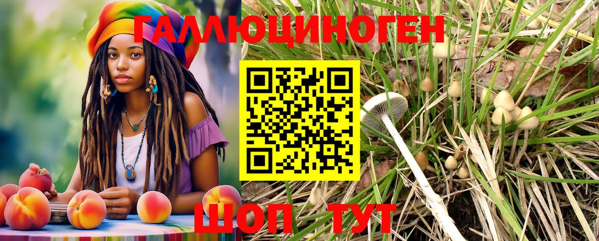 Галлюциногенные грибы мицелий  Аша 