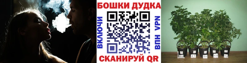 Бошки Шишки VHQ  Аша 